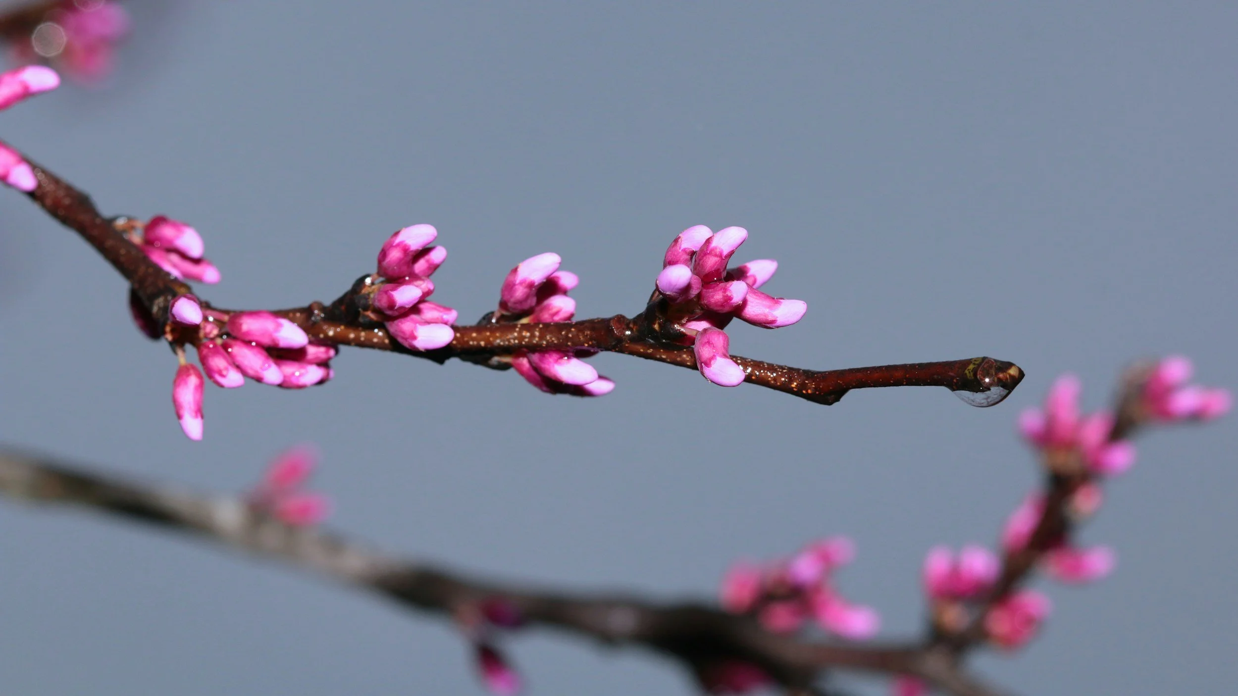 5 Ways to Write with Me this Spring