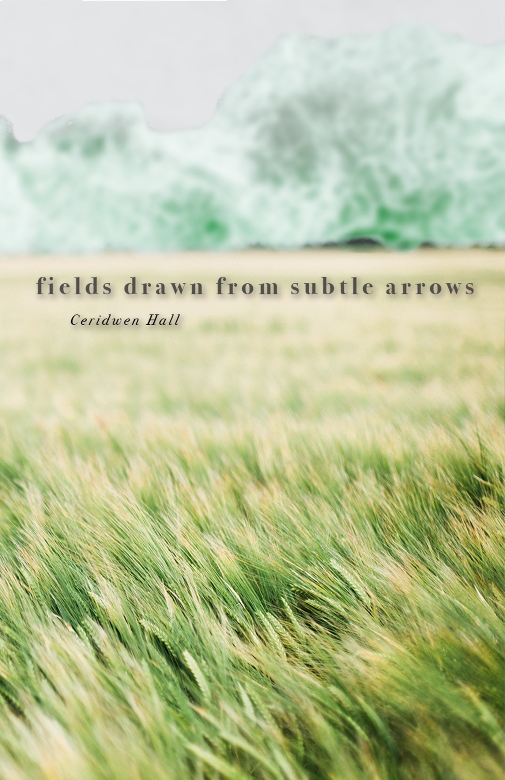 Fields Cover.jpg