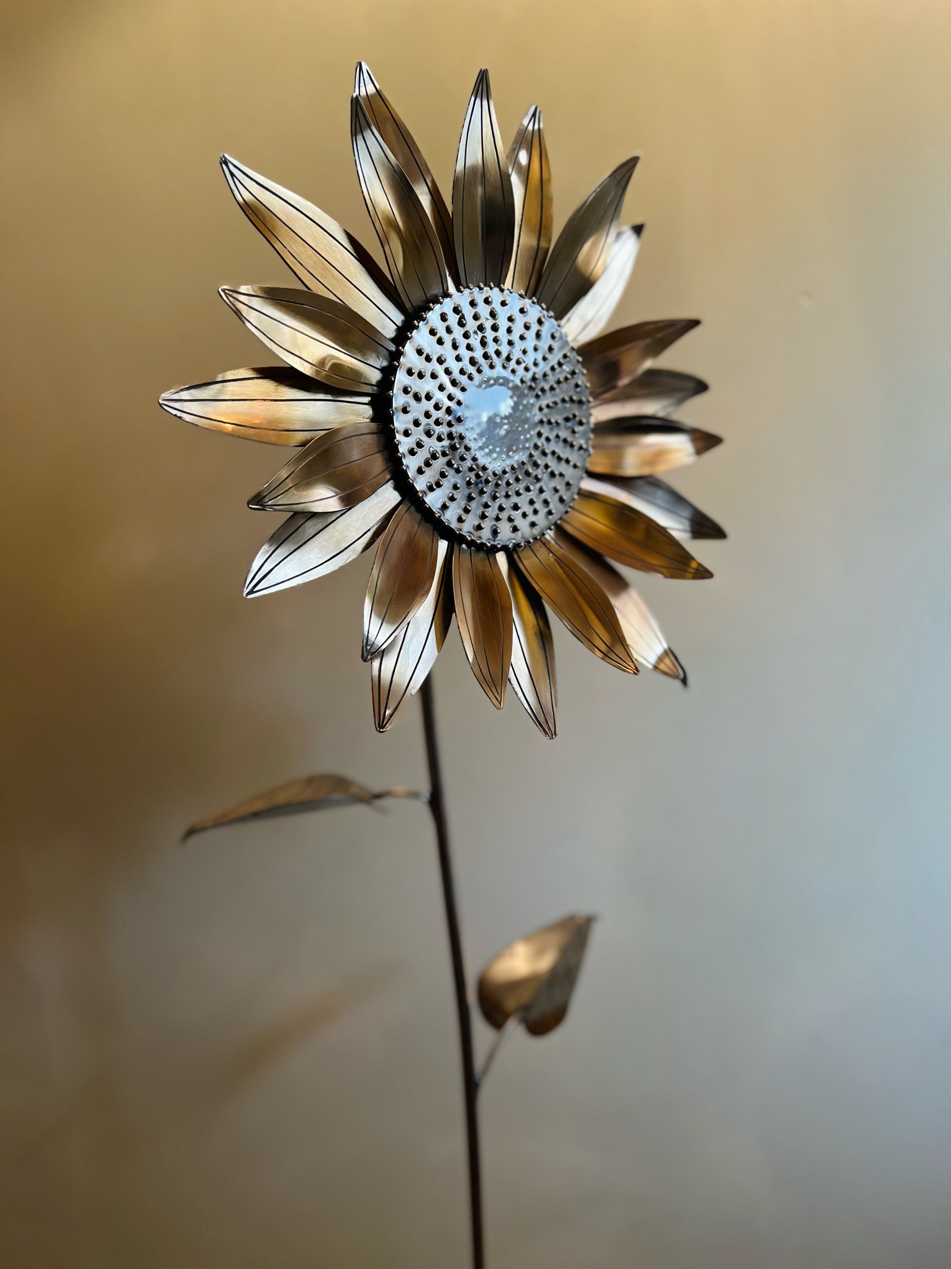 8D920389-677E-403B-B64D-CB04E5370E6B.jpeg