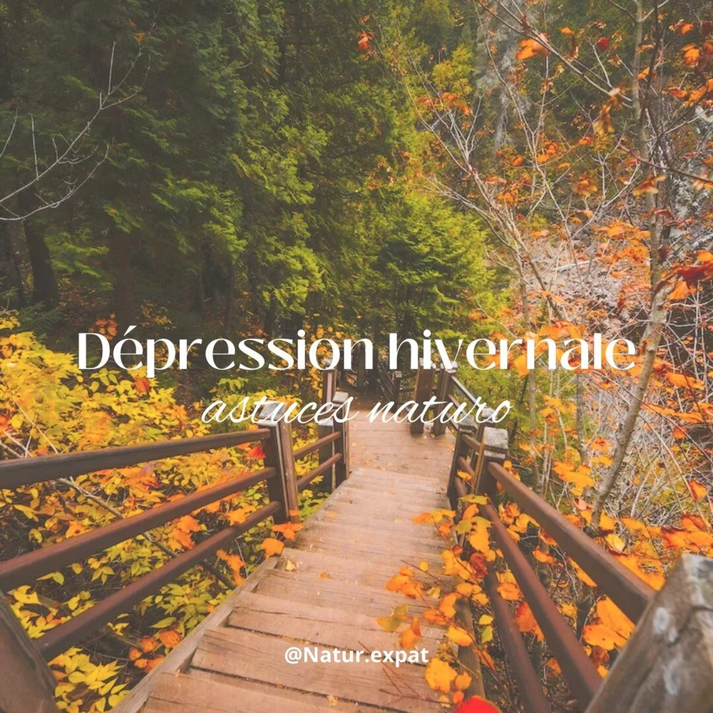 pfff &ccedil;a me deprime ce temps maussade .... pas toi ? 😖 🍂

En r&eacute;alit&eacute; c'est juste pour la phrase d'acroche parce qu personellement j'adore ce temps &agrave; rester sous la couette mais je sais que ce n'est pas le cas de tout le m