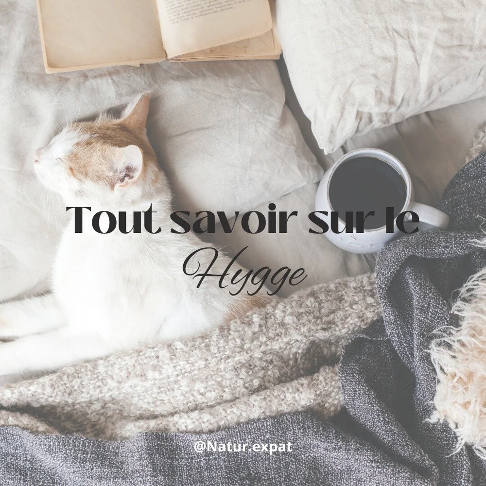 Si on prenait soin de soin...

On parle souvent de cocooning et de mode cozy pour &ecirc;tre bien chez soi mais si on adoptait plut&ocirc;t l'art danois du hygge ?

Tu me diras quel rapport avec la scl&eacute;rose en plaques ou la naturopathie... et 