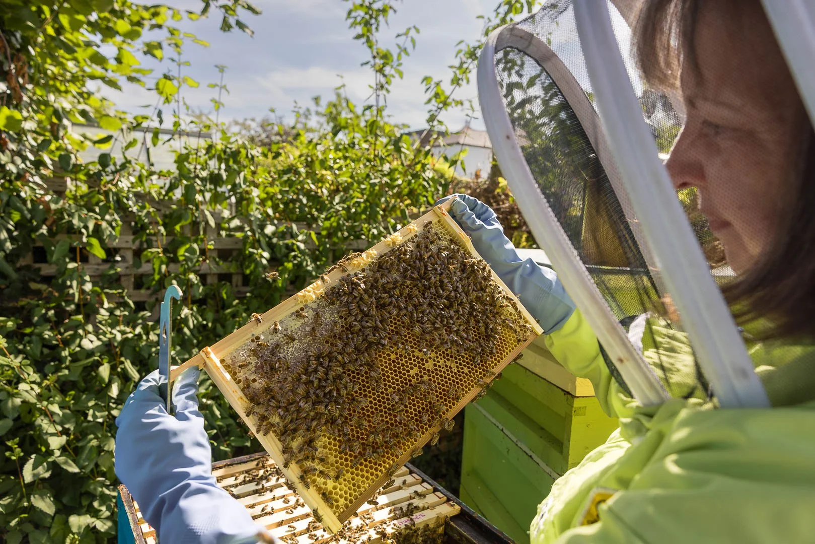 Personal branding photography for beekeeper Mama's Beeswax, Esher, Surrey by professional photographer Sian T. Photography