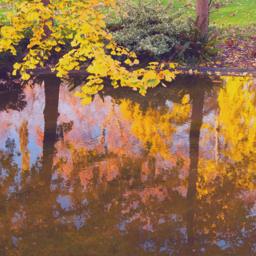 Untitled design (31).png