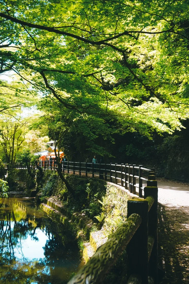 EF7498EF-6B9E-4B61-9774-AE9F63FA5799_1_105_c.jpeg