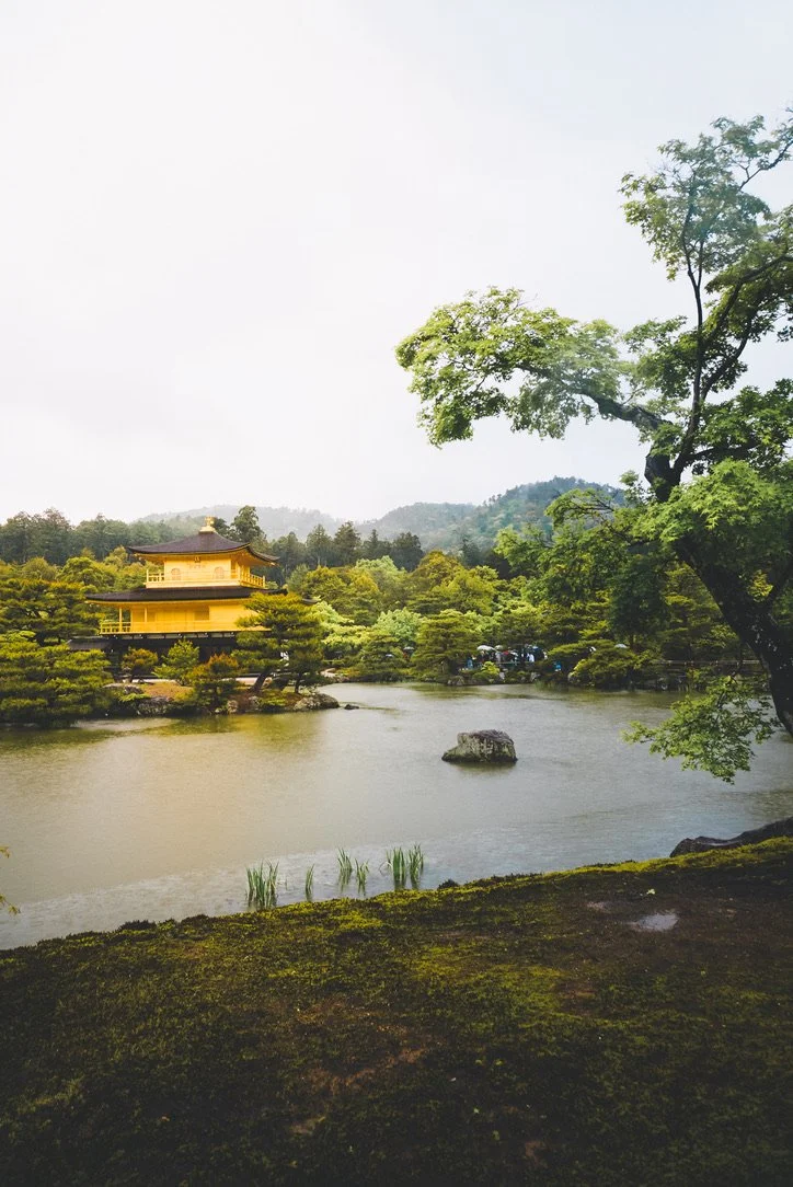0A62B3FD-E8D7-43FC-A34F-DEB7D3336A7A_1_105_c.jpeg