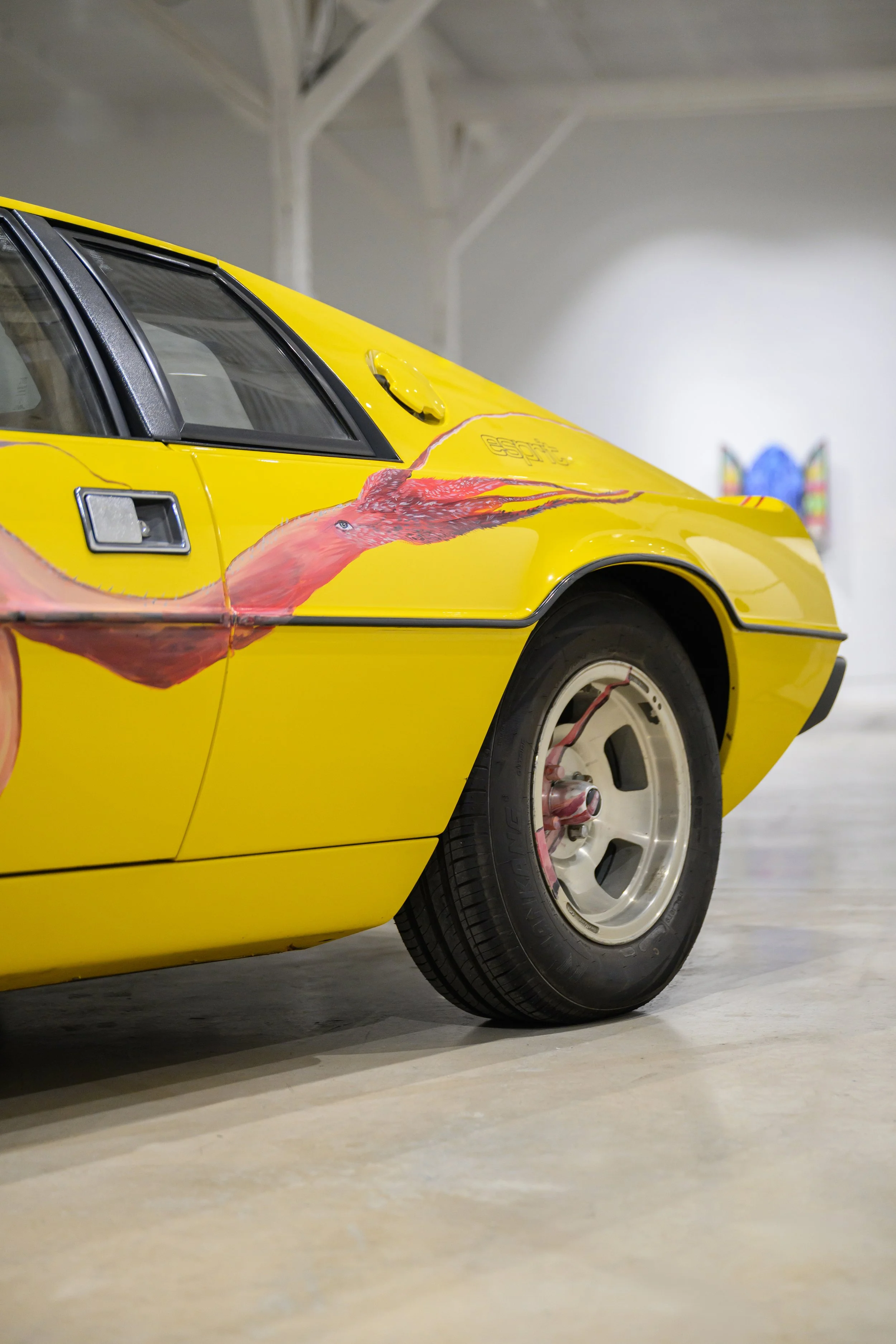 Transpeed install view full res final 2025-46.jpg