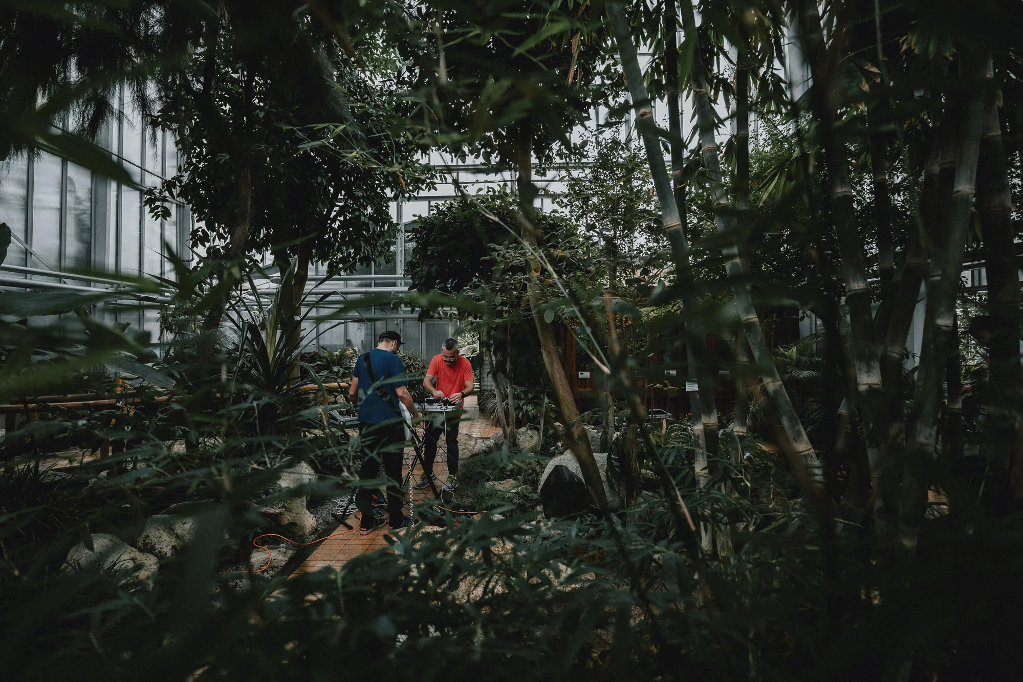 DAAVS x NEXT: BIOS x DEAD JANITOR Botanical Garden Košice