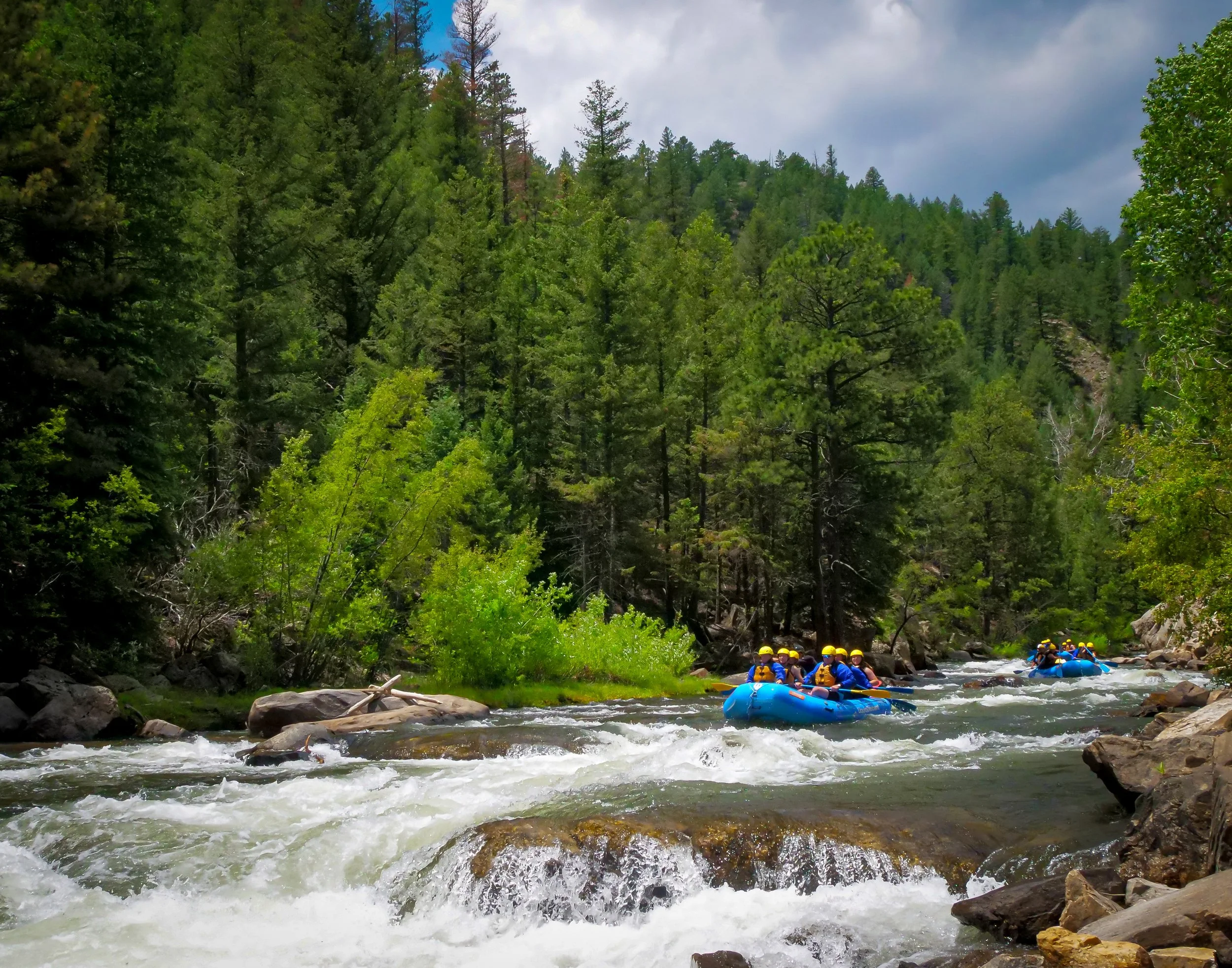 Tricky Dick Rapid