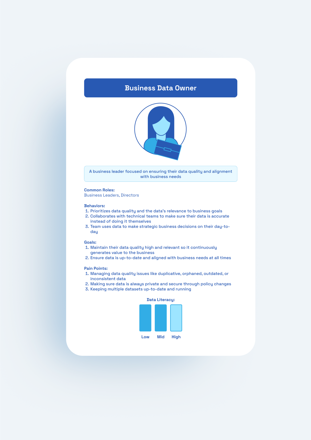 Infographic titled ‘Business Data Owner’ showing roles, behaviors, responsibilities, pain points, and mid-level data literacy