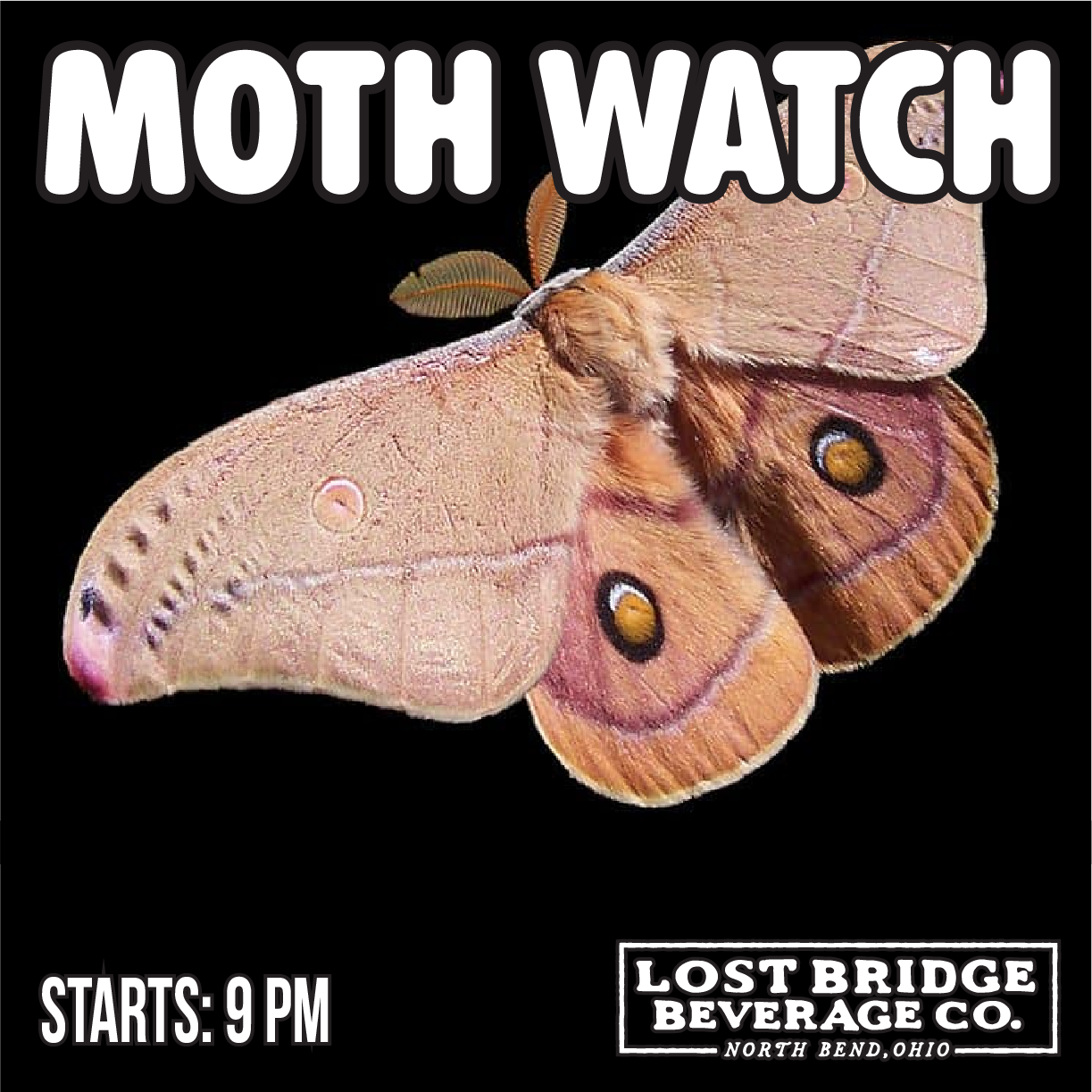 Moth Watch