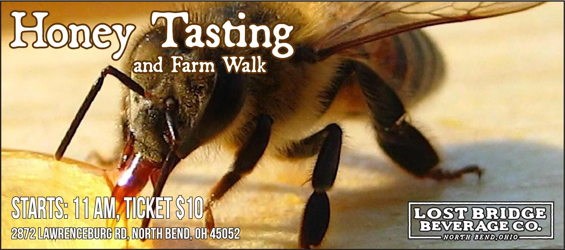 Friday, November 21, 2025 11 AM