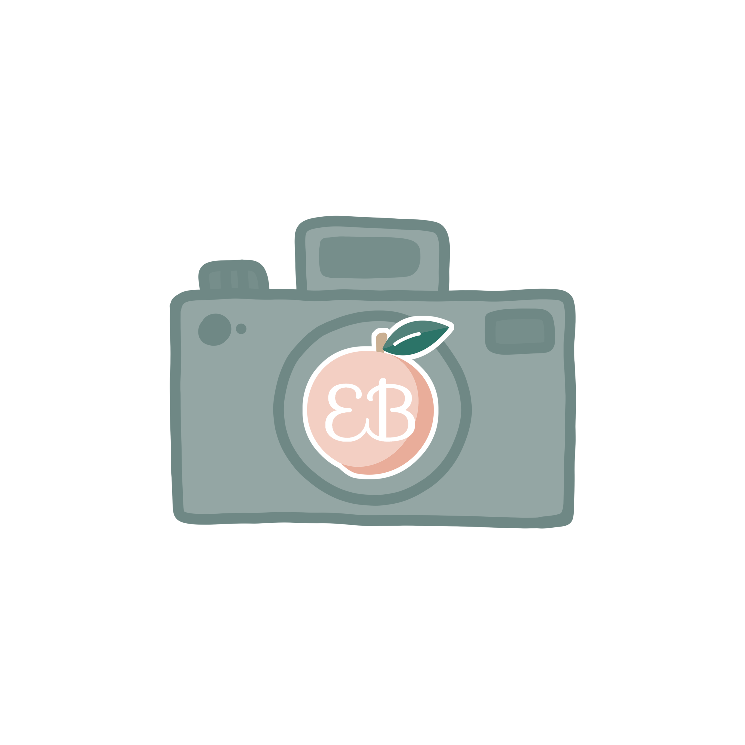 eb camera 4.png