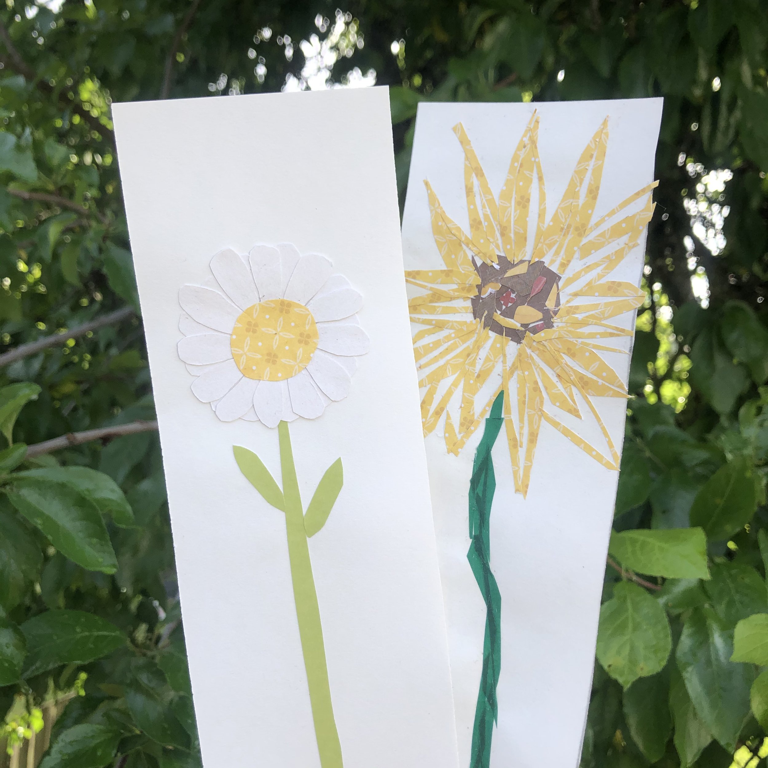 Daisy & Sunflower