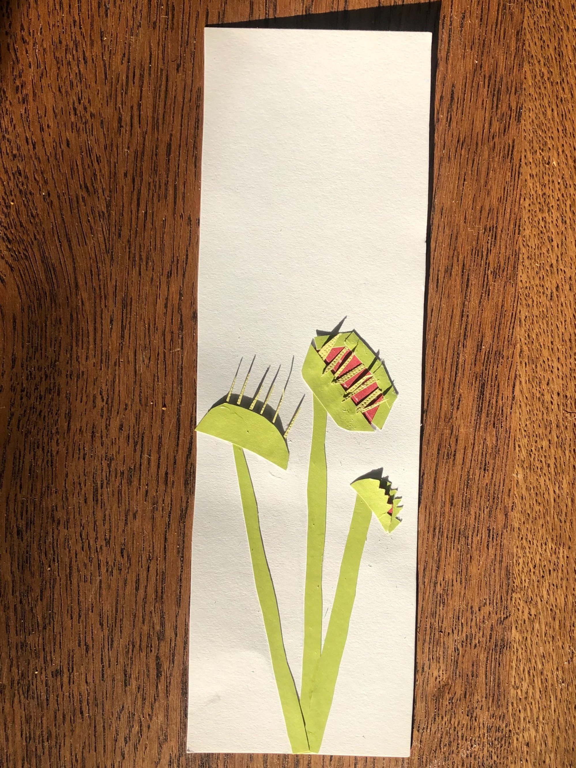 Venus Flytrap
