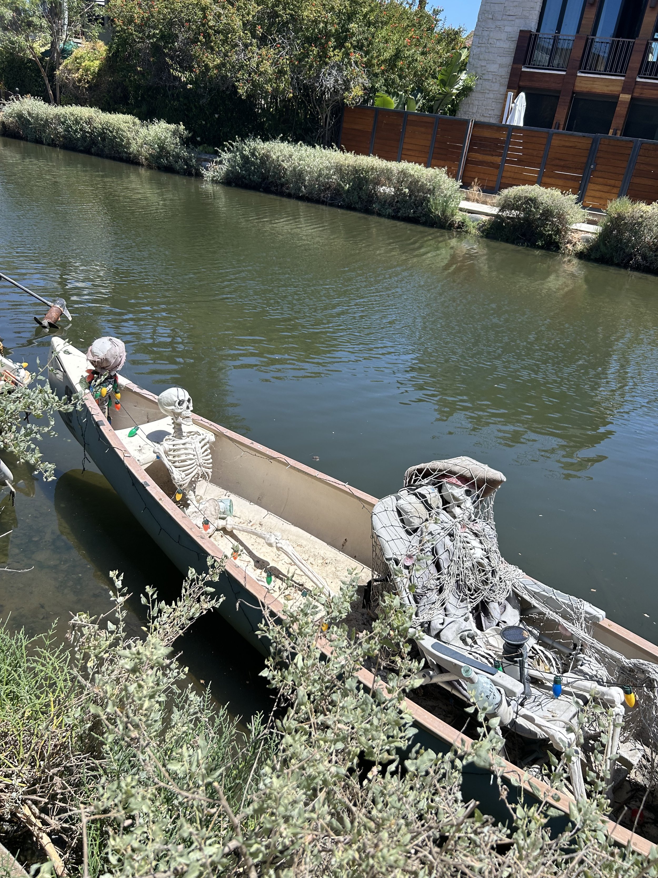 IMG_5673.jpeg