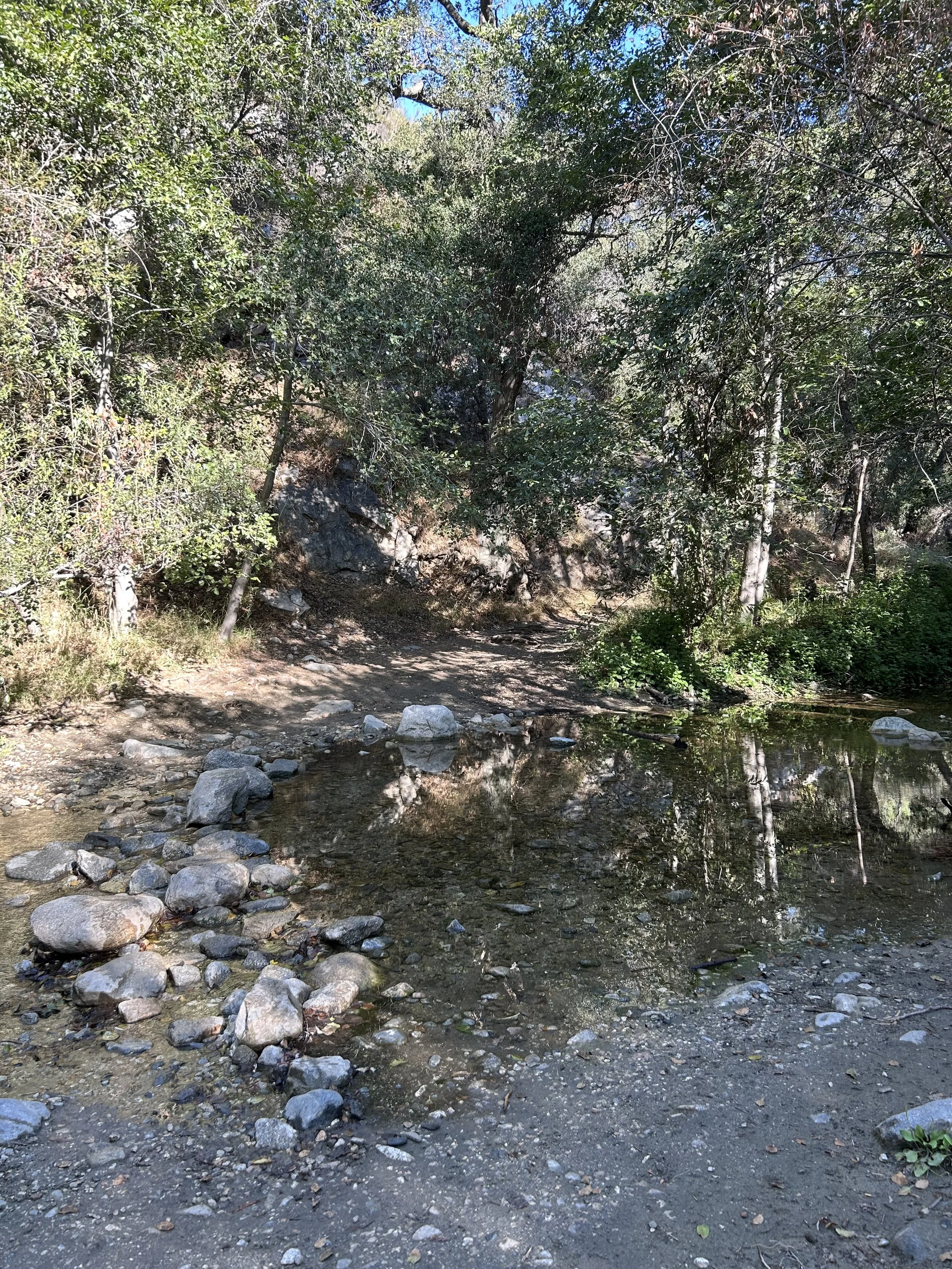 IMG_6785.jpeg