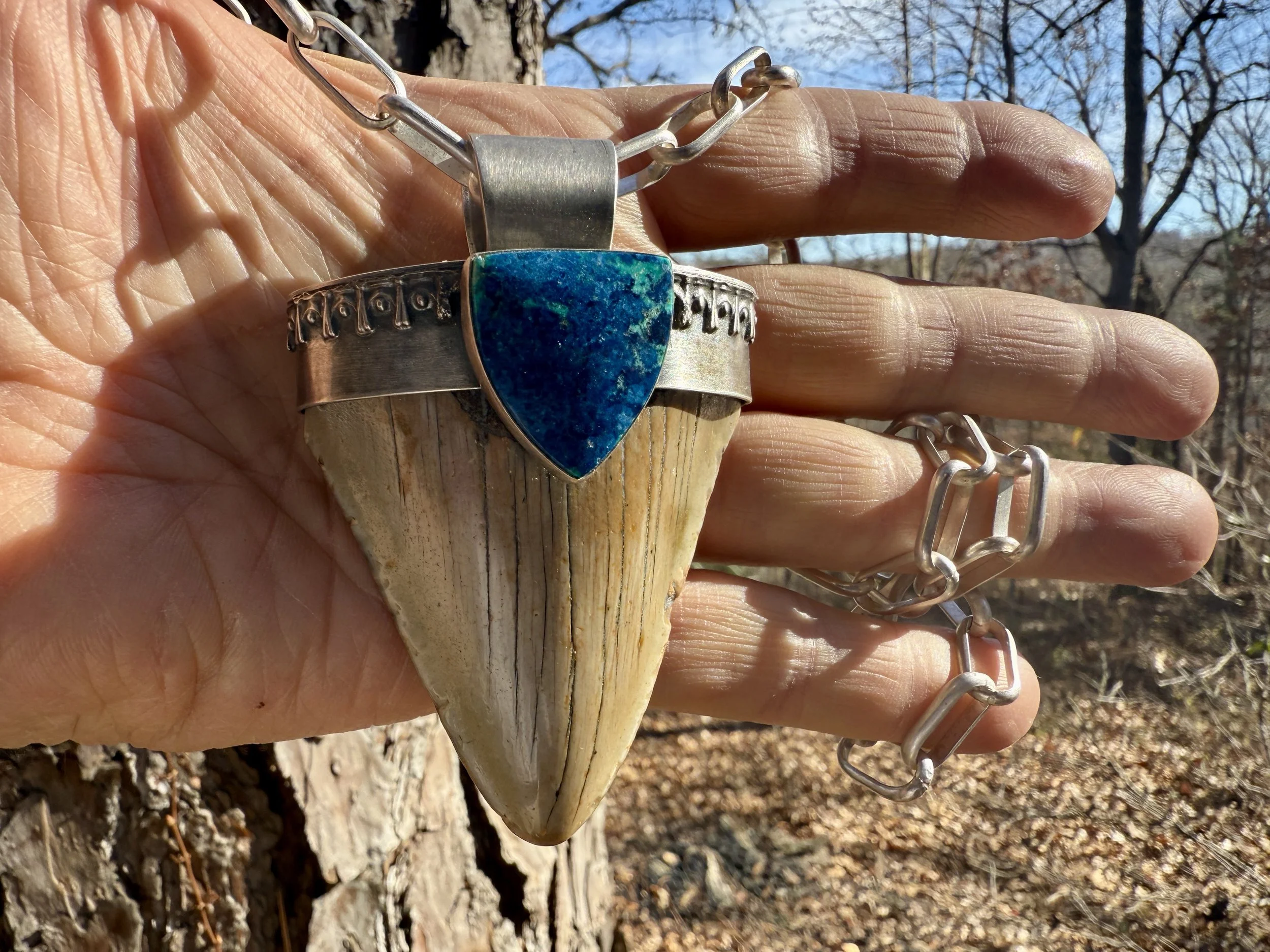 November, 2025 - I made this one with a Megalodon tooth found by a diver in South Carolina and a piece of Azurite from the famous turquoise mines at Bisbee, Arizona. Megalodons were giant ancient sharks that could be as large as two school buses park