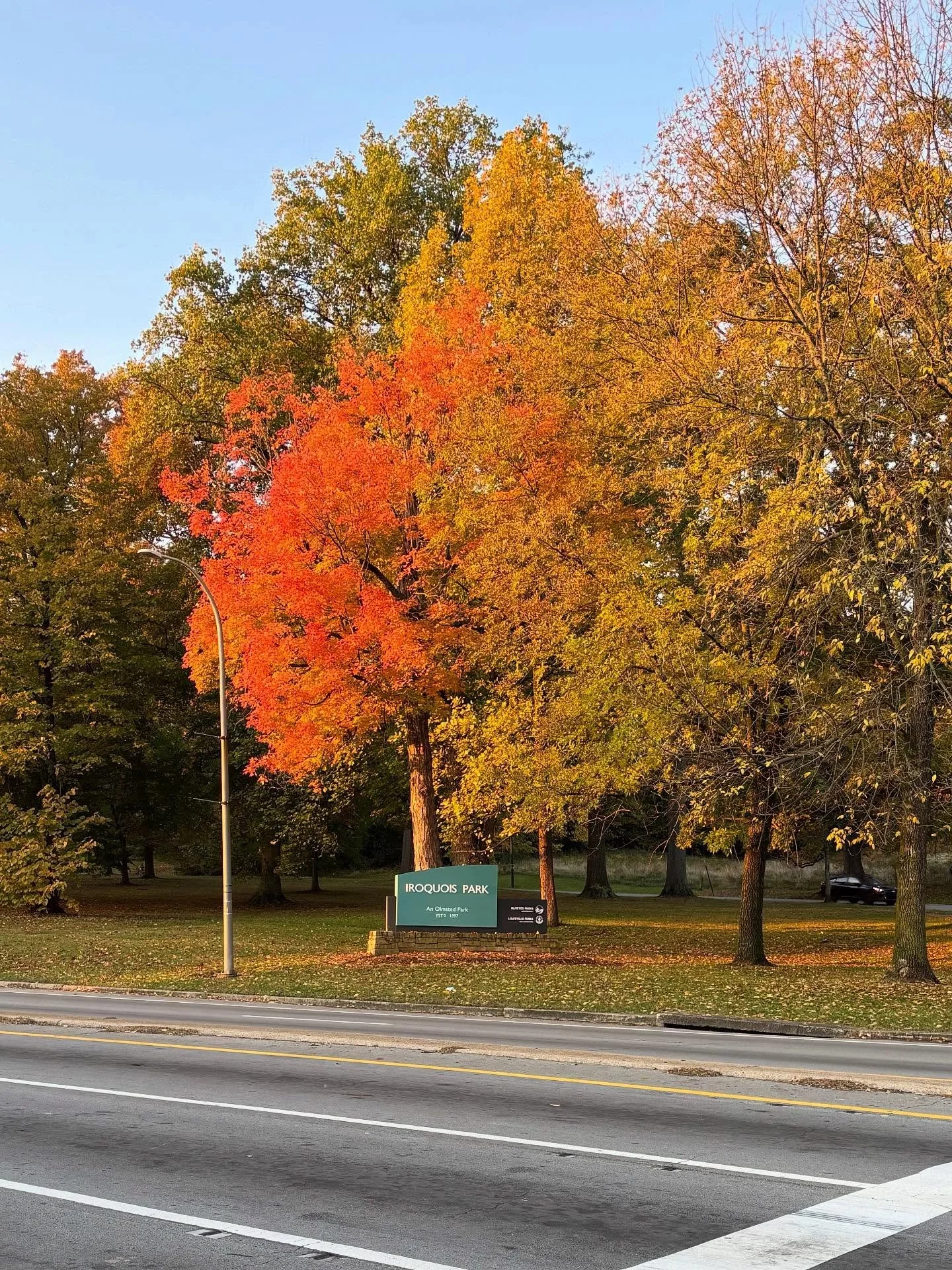 Snaps from my long run this morning because it was just so pretty out there. My running fuel? Shaq-a-Licious gummies swiped from the trick-or-treat bag. They came highly recommended on one of the running podcasts I listen to. Was it @treadlightlyrunn