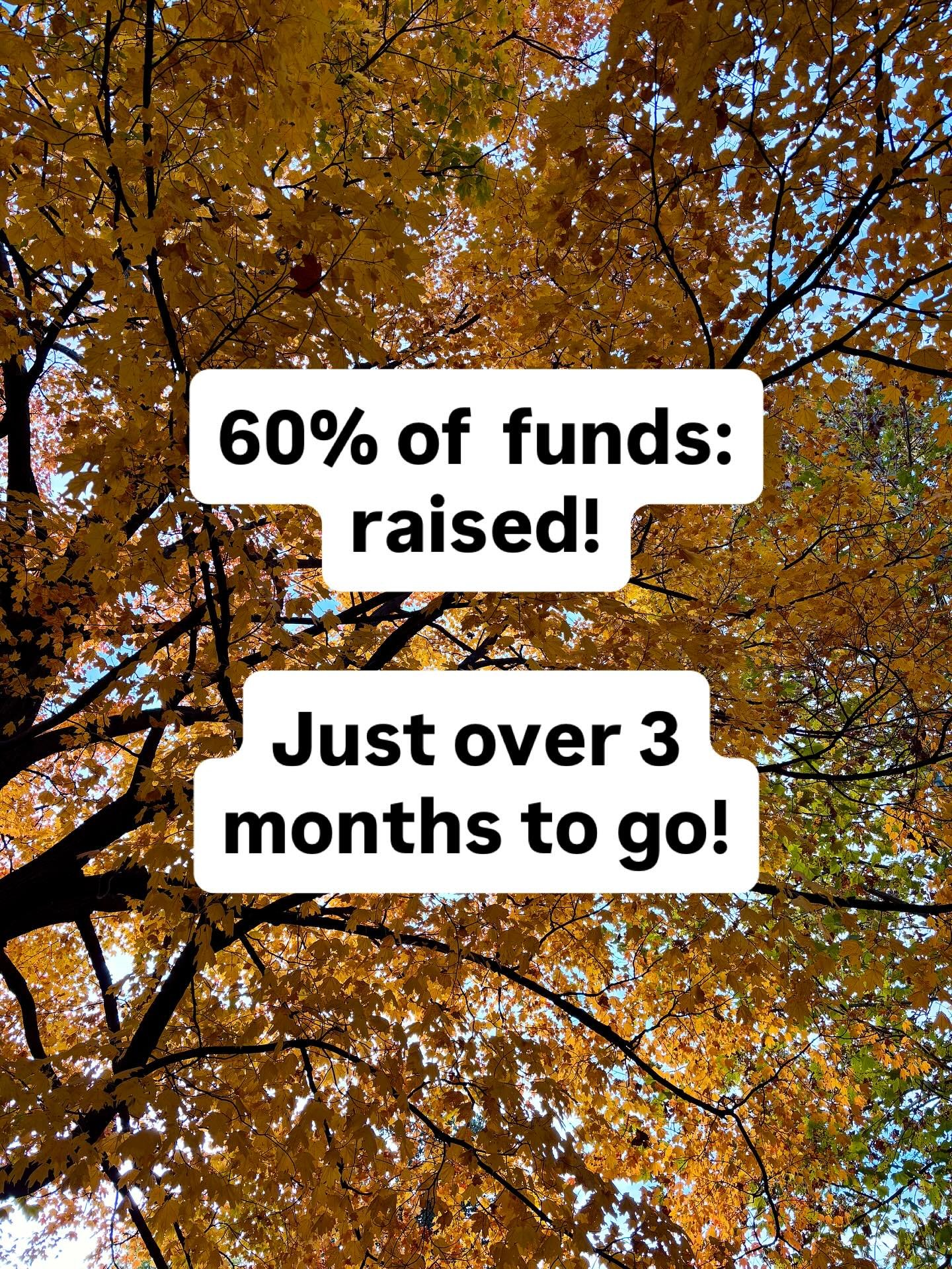 I keep looking at the GoFundMe page to make sure it&rsquo;s not a trick, but I&rsquo;m 60% of the way toward my fundraising goal! 

Thanks, ever so much, to the person who just gave a very generous donation and got me there. (I&rsquo;m not sure if yo