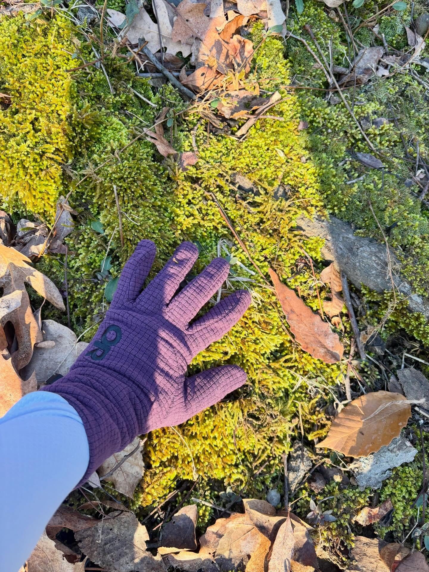 My long run this week was four miles. If everything had gone like I&rsquo;d planned, this run would have been much longer. But I&rsquo;m adapting and working within my current abilities. And remembering to touch the moss and appreciate the morning su