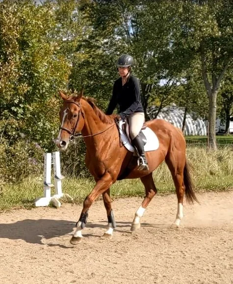 Zoe Trot SCREEN CAP 2.JPG