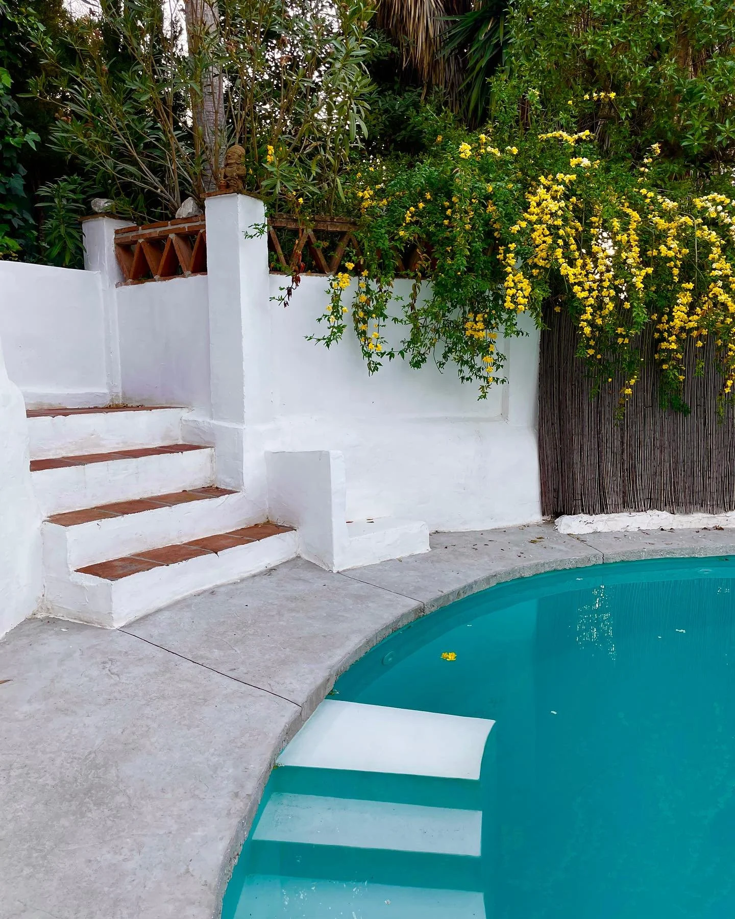 private pool oasis 🌼🩵