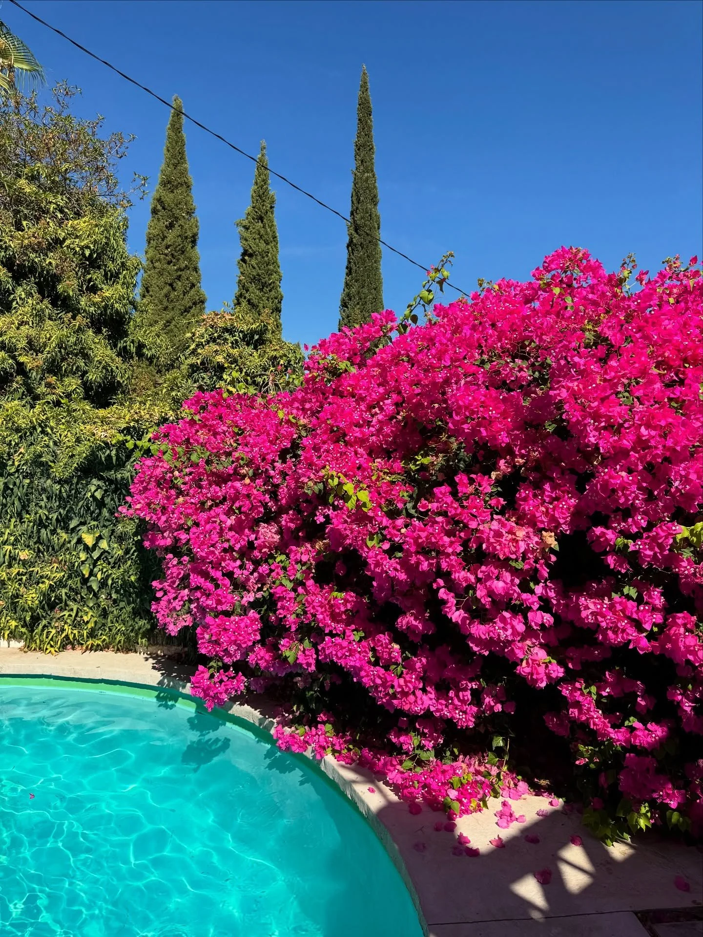 🌺👙🍬🦩💕🌸 // what&rsquo;s better than a private pool?? book your next vacation with us!