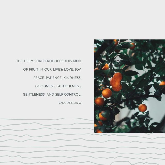 Fruit of Peace