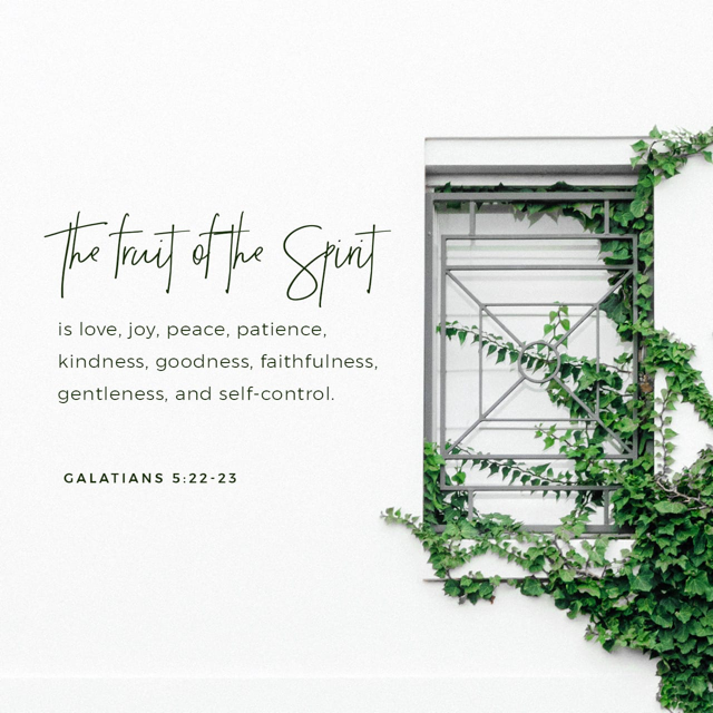 Fruit of Patience