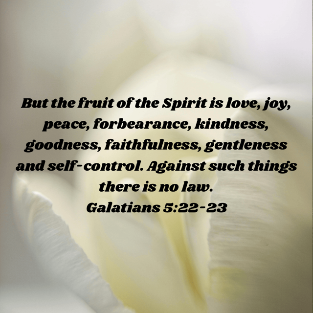 Fruit of Gentleness