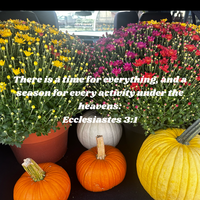 When Seasons Change