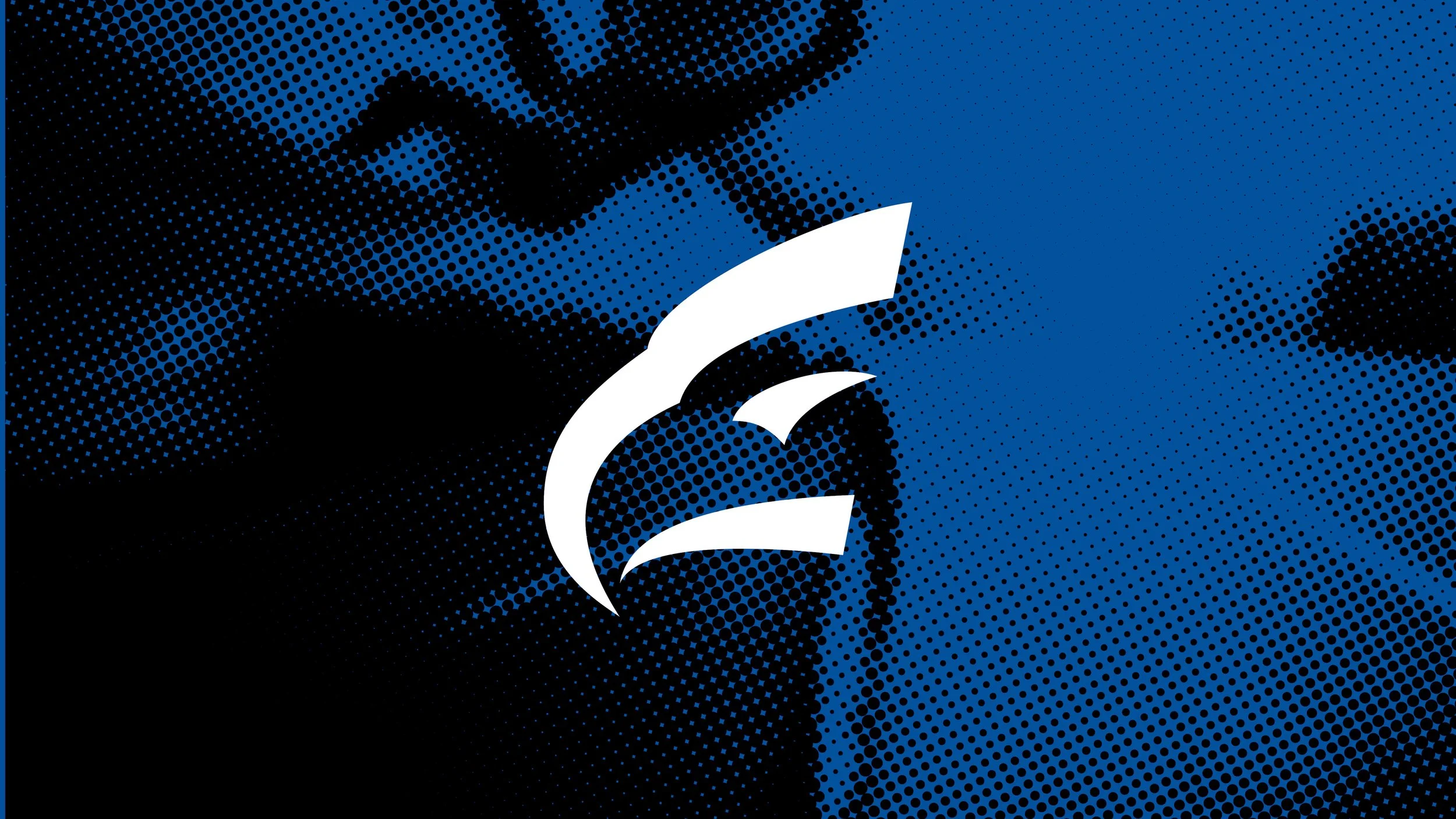 EAS Tire & Auto Rebrand and Store Design