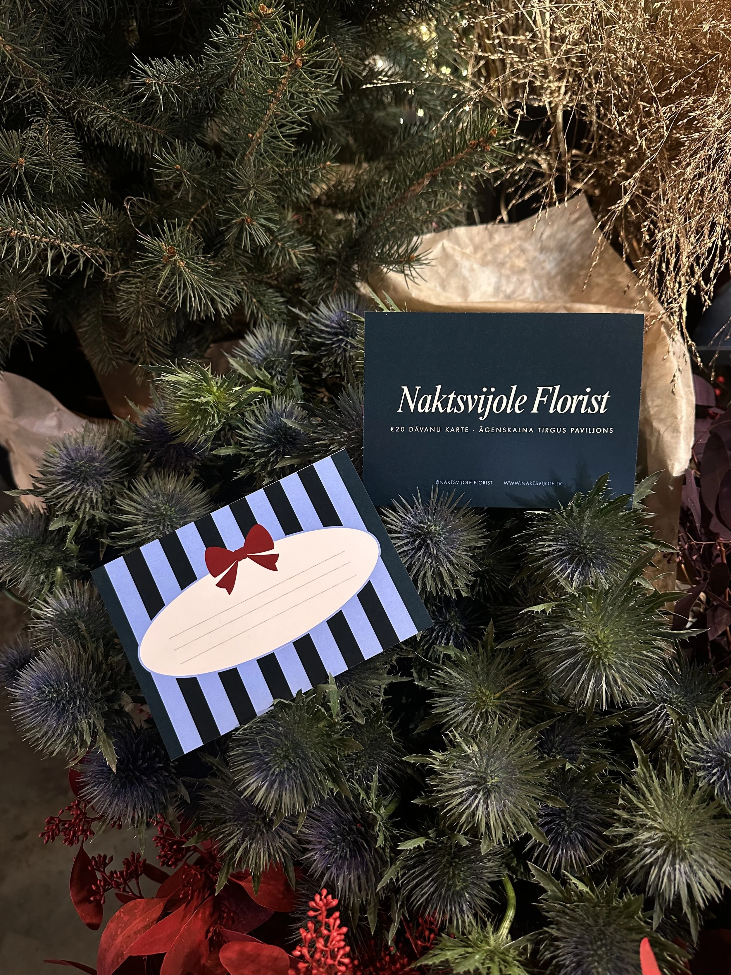 Naktsvijoles Dāvanu Karte