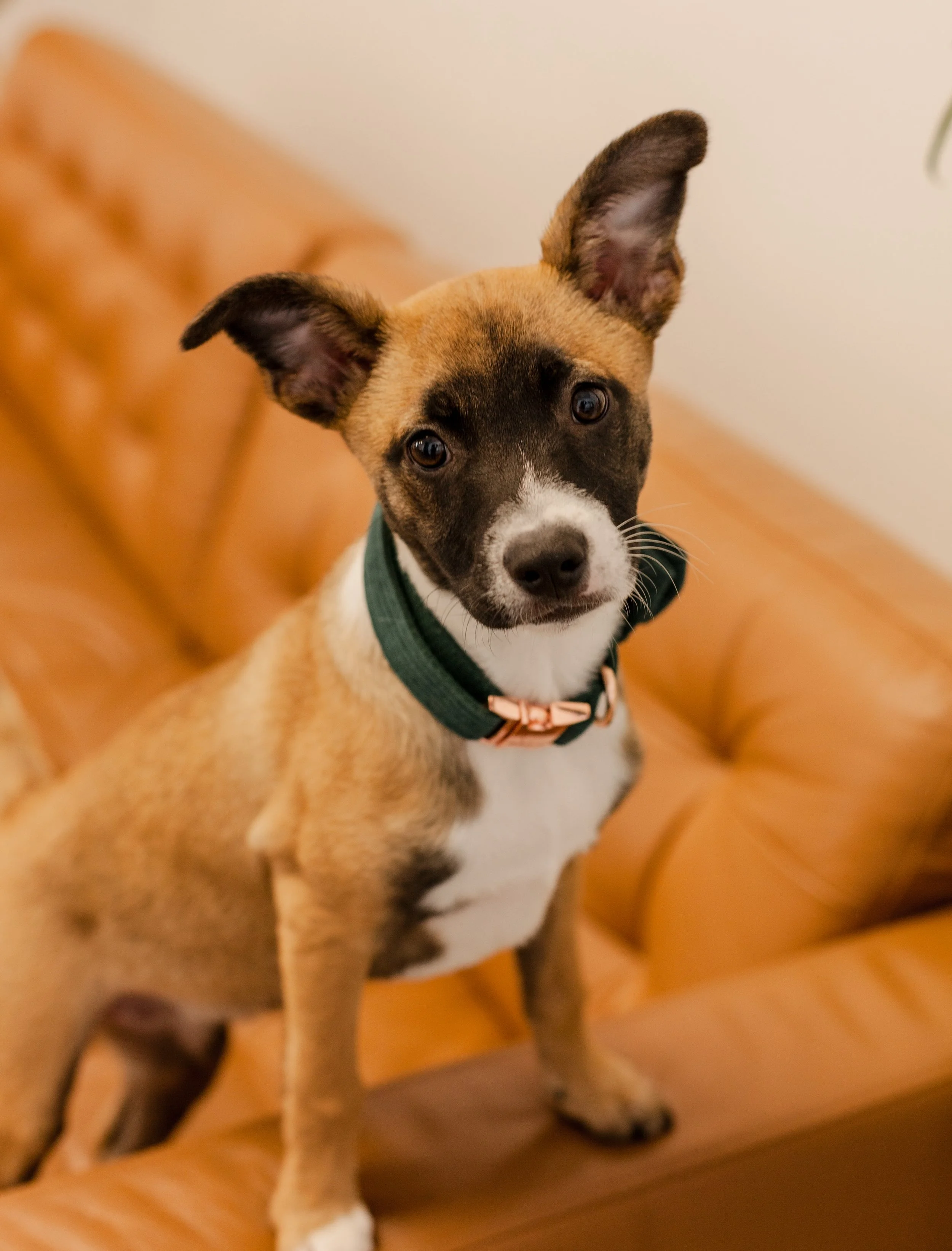 Stef Newborn Session-3.jpg