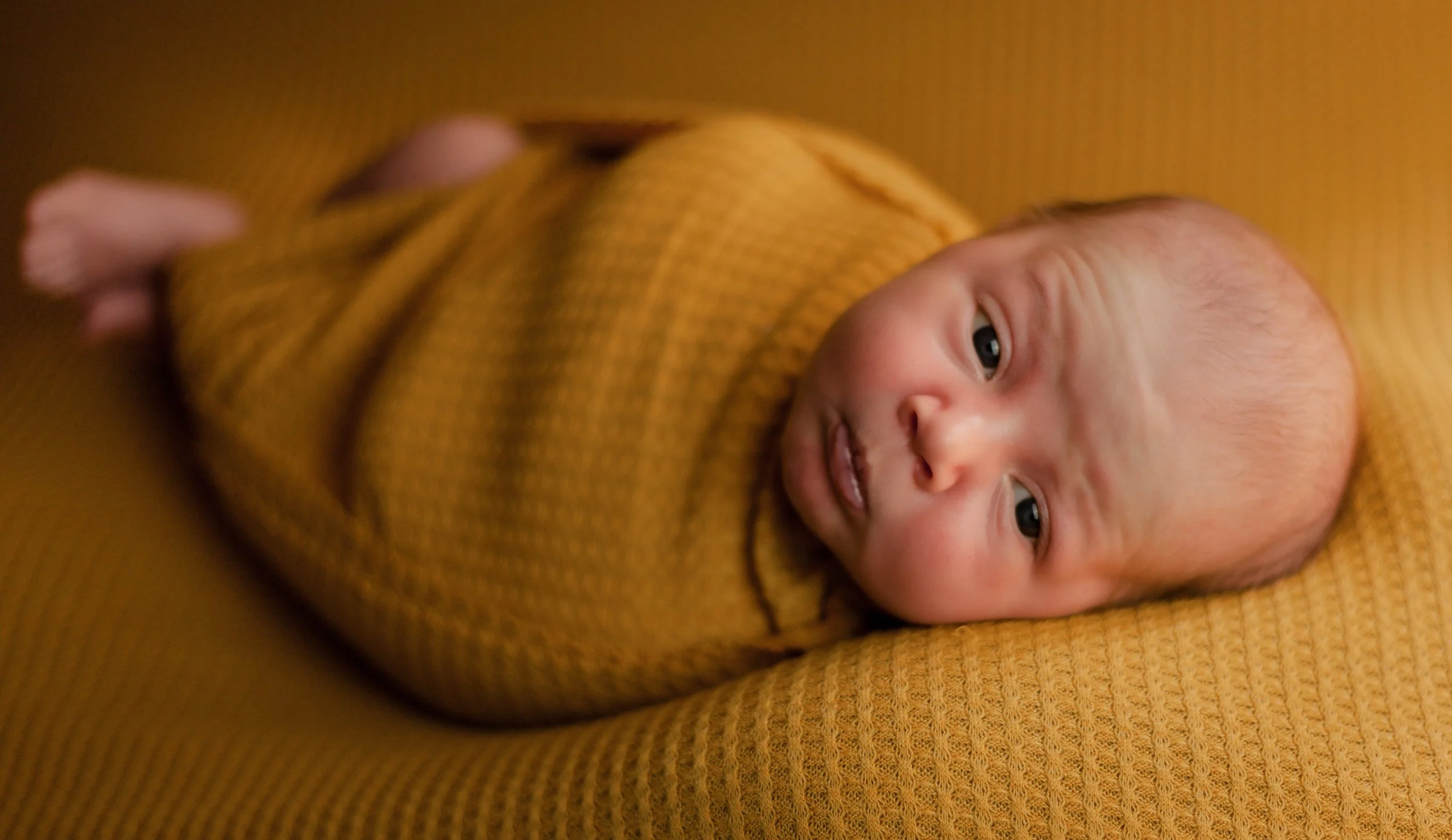 Theo Newborn -6.jpg