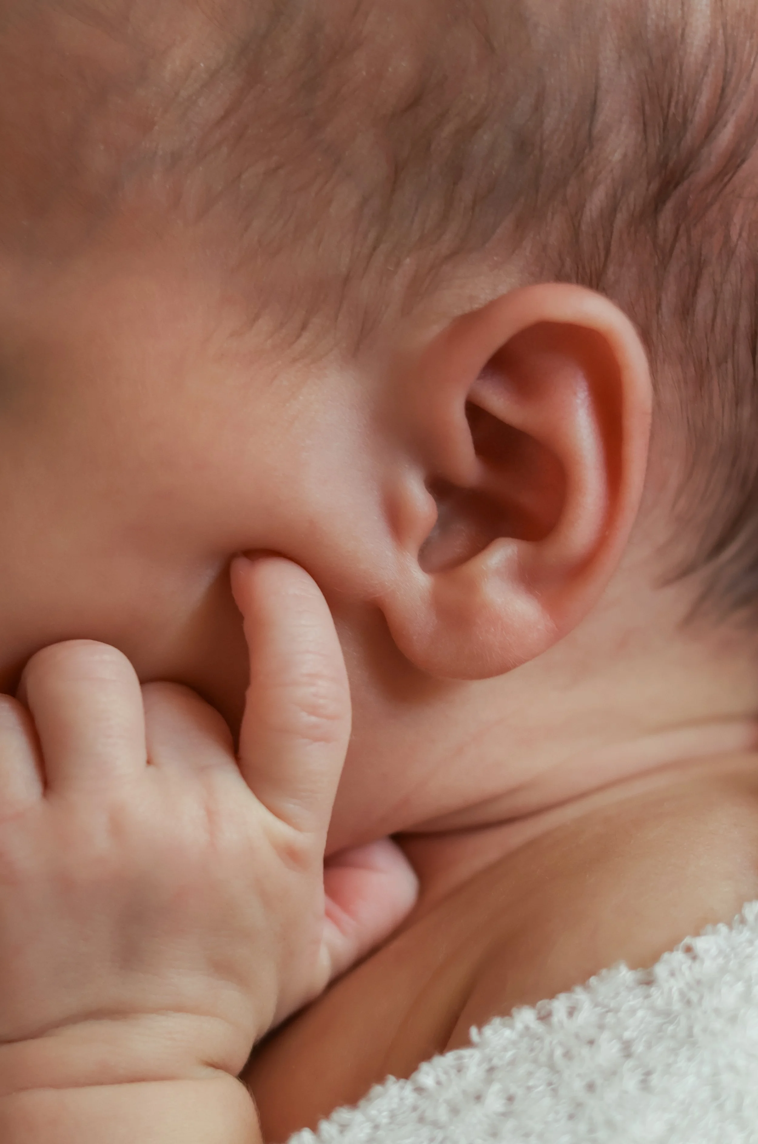 Felisiti Miley Newborn Session-17.JPG