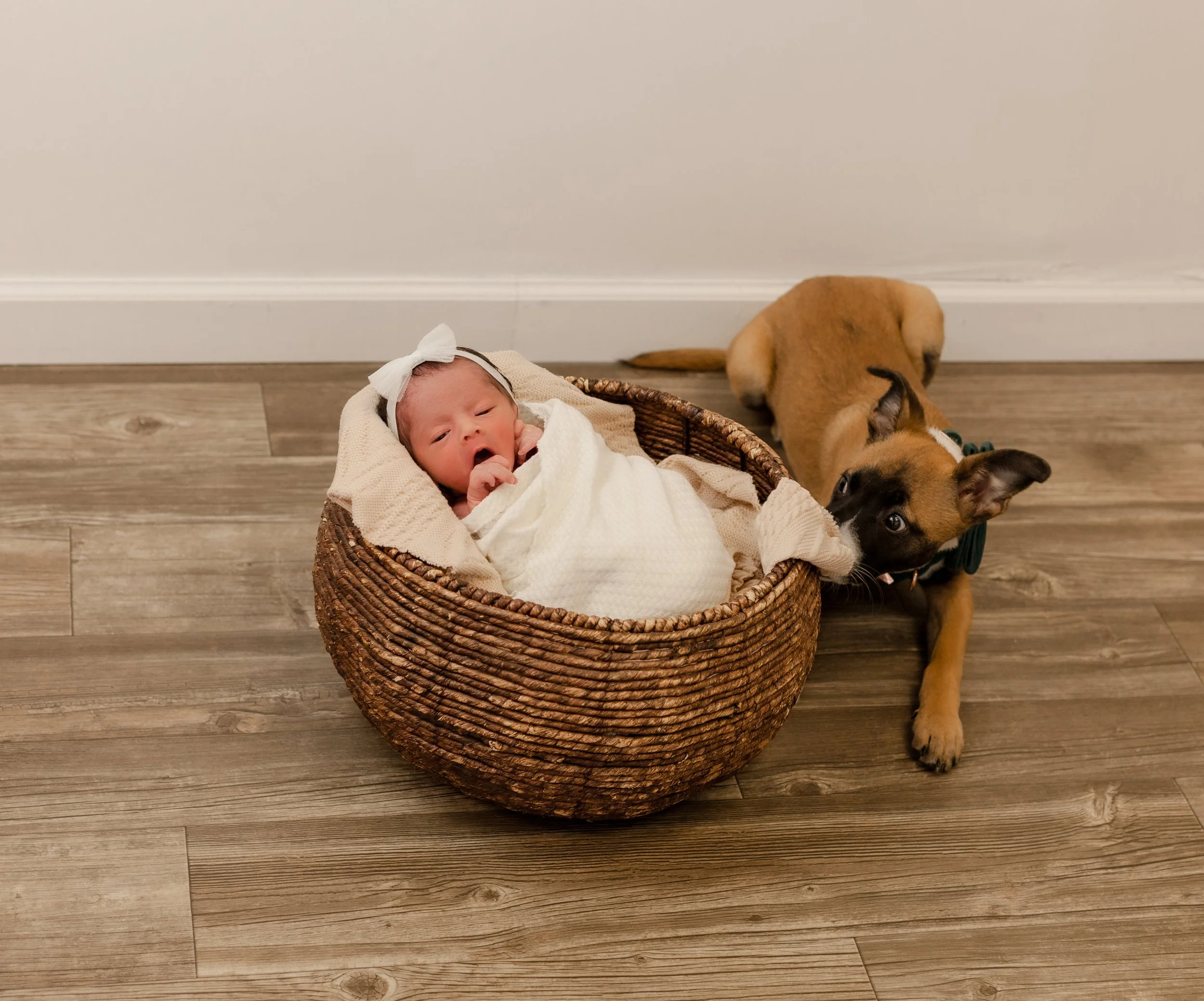 Stef Newborn Session-8.jpg