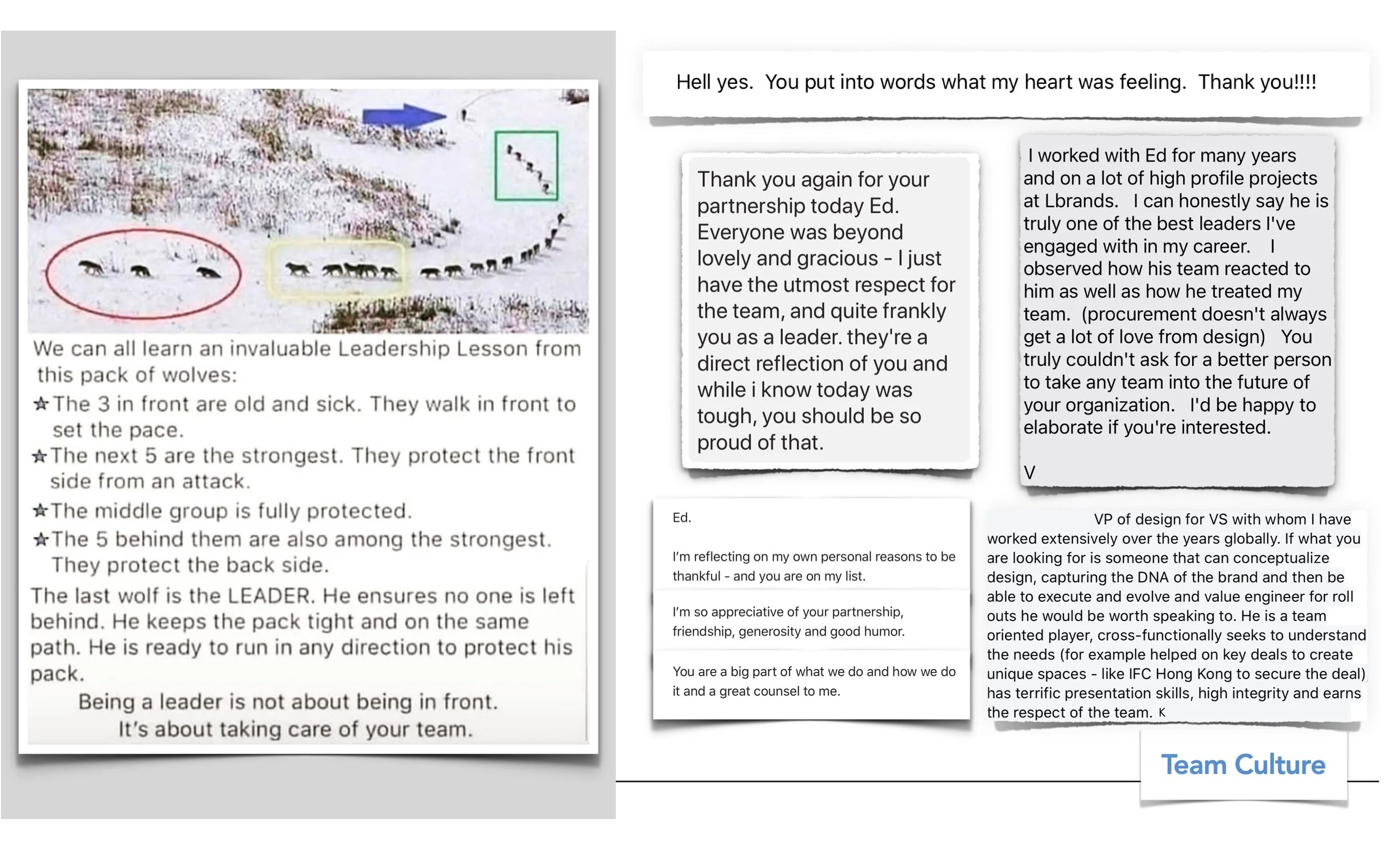 Ed Hofmann Team Culture 3-3.jpeg