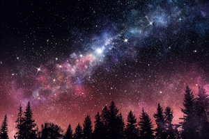 Starry night sky with the Milky Way galaxy above a silhouette of trees.