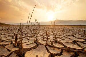 Dry, cracked land with dead tree branches, under a sunset sky with clouds and distant mountains.