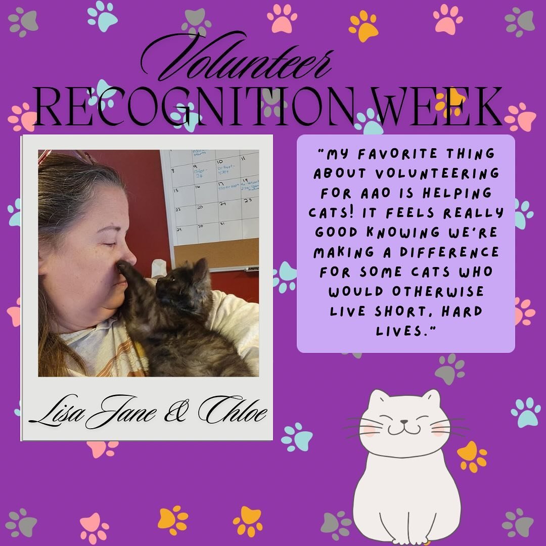 Happy Volunteer Recognition Week! We would like to take this time to thank and shoutout some of our own volunteers. They work hard so the cats we bring in can live happy lives before finding their forever homes. Thank you for all you do Volunteers! ❤