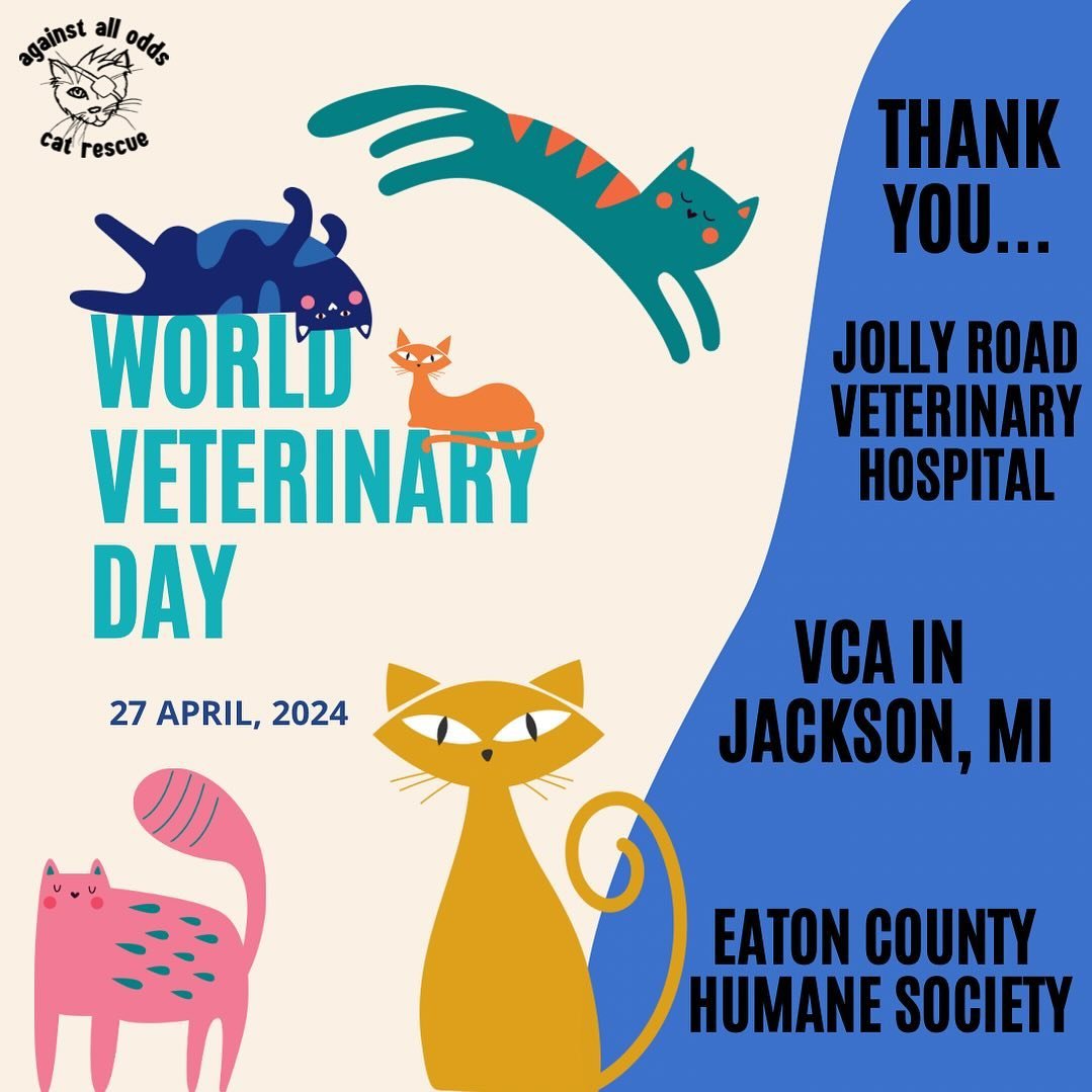 On World Veterinary Day, let&rsquo;s take a moment to express our heartfelt gratitude to the dedicated veterinarians who tirelessly care for our beloved animals. Let&rsquo;s celebrate these essential health workers and acknowledge their kindness and 