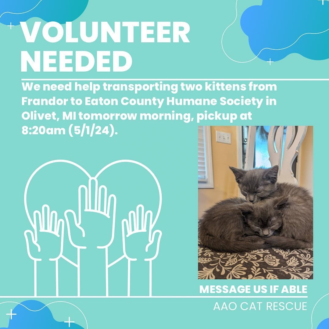 We need your help! We need to transport two kittens from Frandor to Eaton County Humane Society in Olivet, MI tomorrow morning, pickup at 8:20am. We also need a volunteer for the afternoon pickup usually 2-4pm. If you&rsquo;re able to help out please