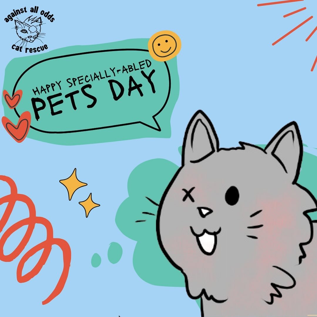Happy National Specially-Abled Pets Day! Obviously we love all pets but this day is dedicated to raising awareness about pets living with disabilities and their special needs. Please consider adopting a specially-abled pet when looking to add a new f