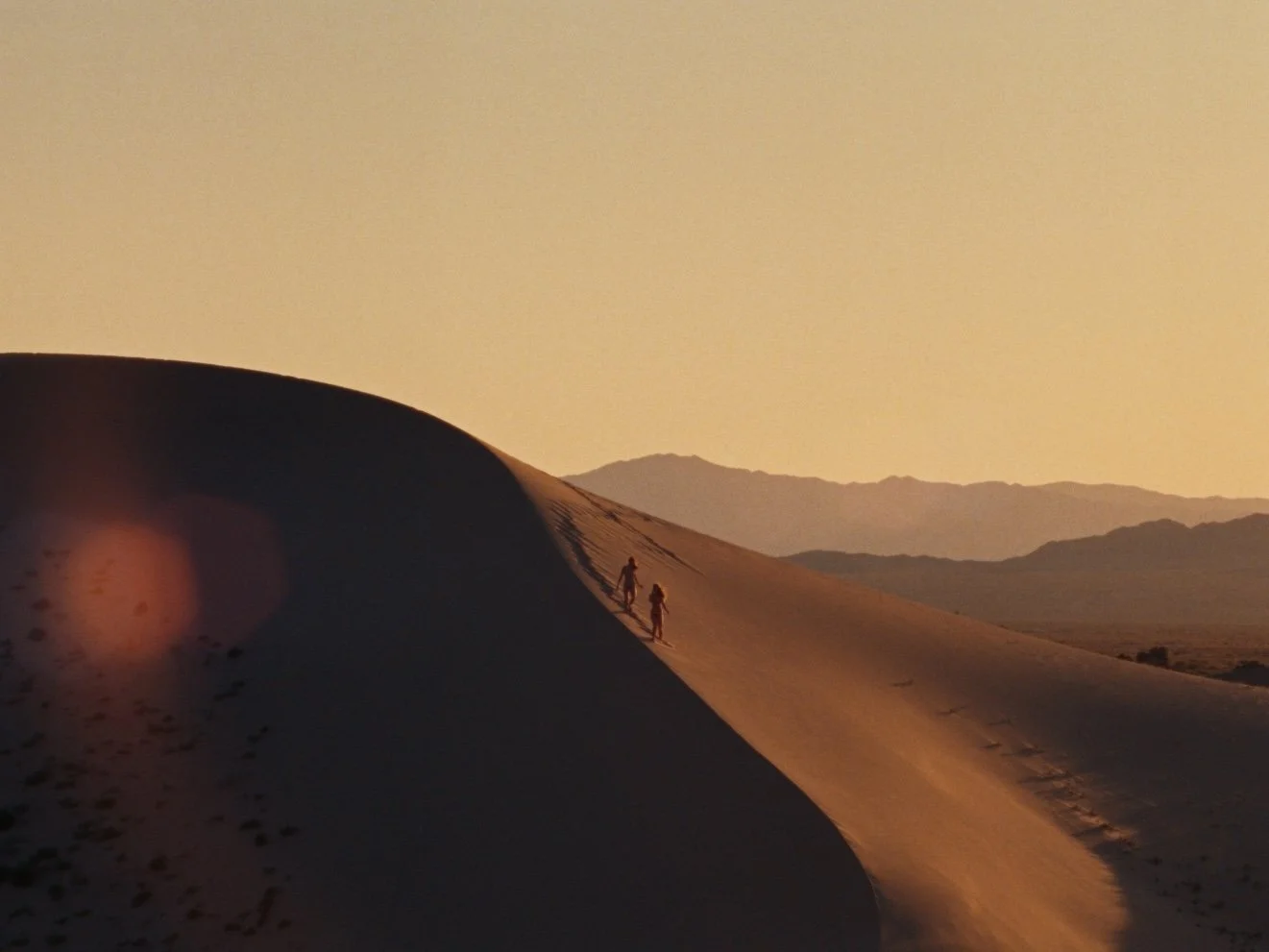 Wild Geese - Wonder Valley