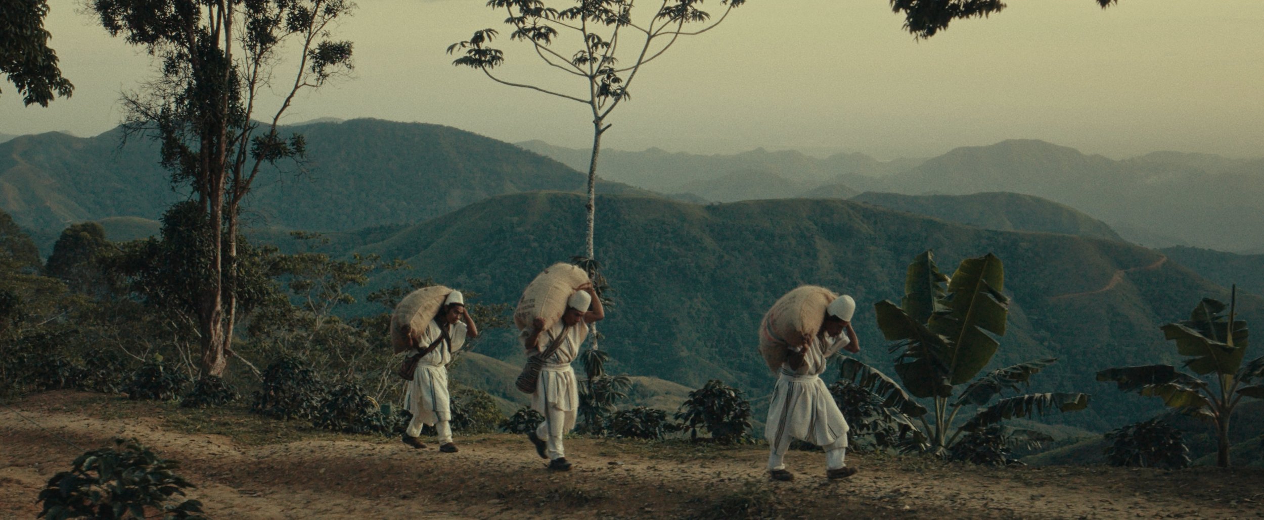 EDC - From Soil To Sip