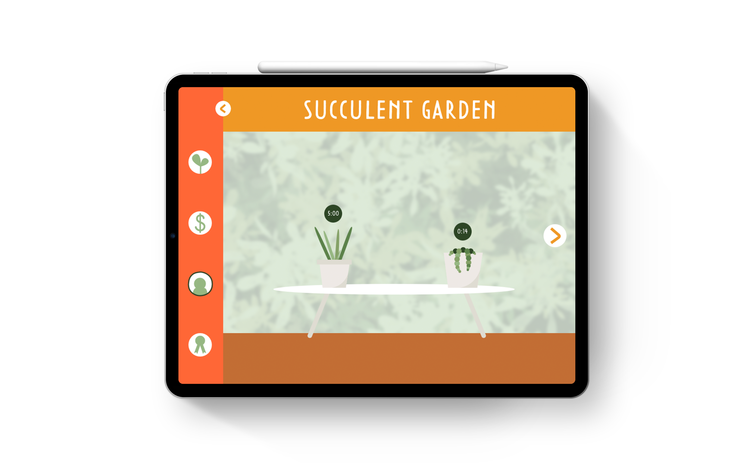 plants.png