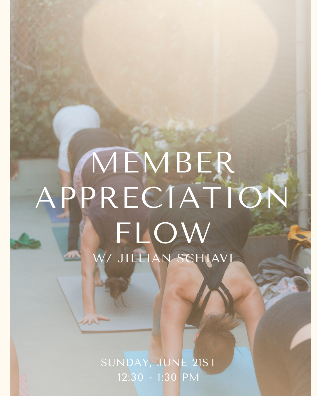 Member Appreciation Flow with Jillian Schiavi