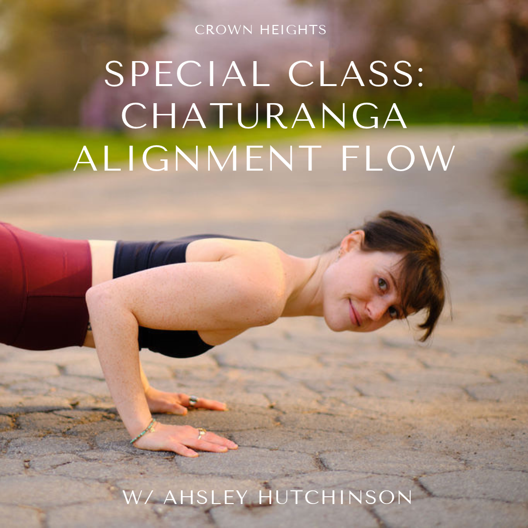 Chaturanga Alignment Flow with Ashley Hutchinson