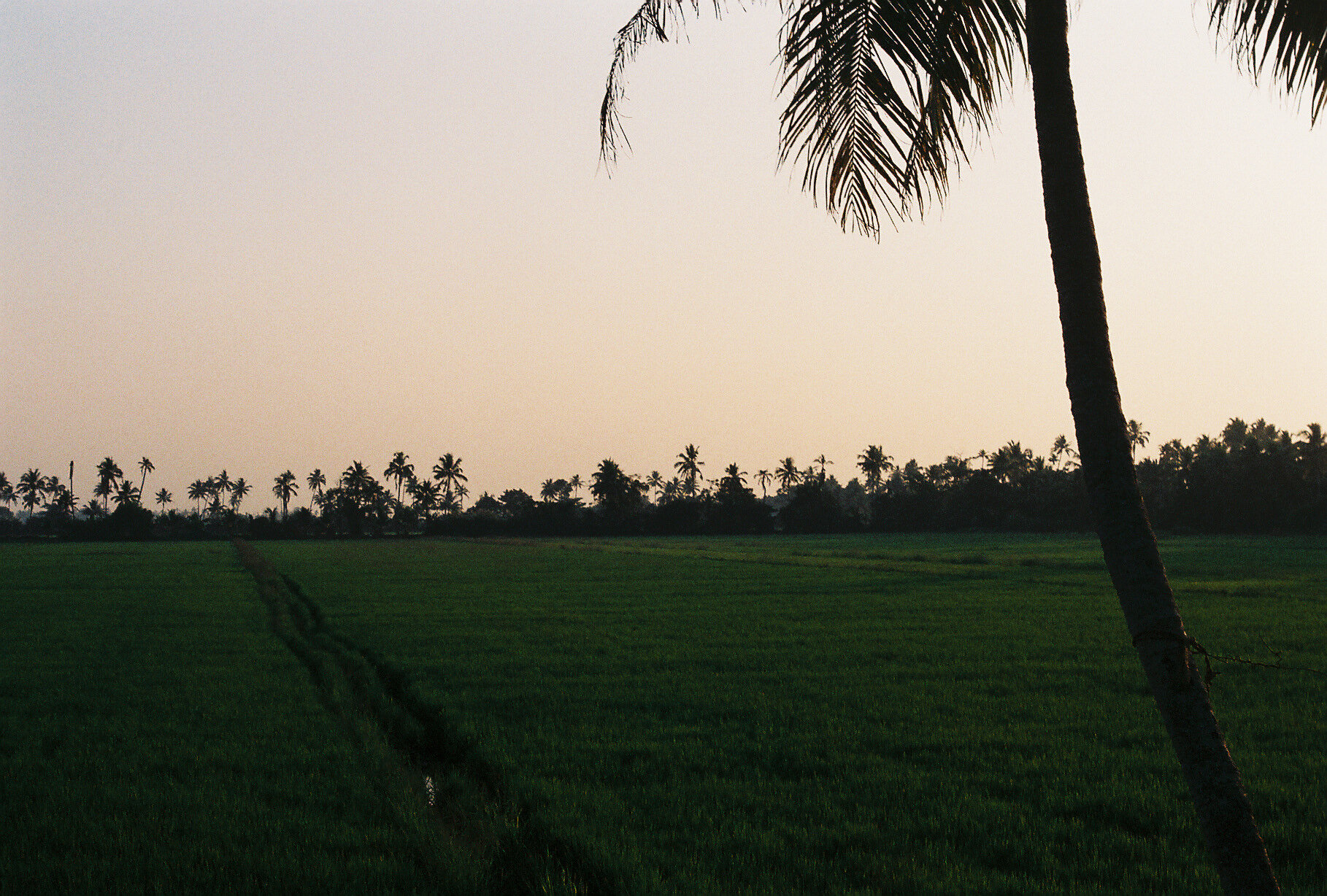 Kumarakom, India
